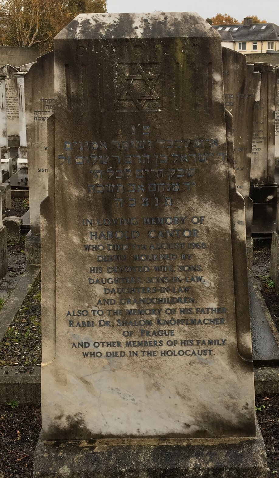 Grave stone Harold Cantor, Dublin